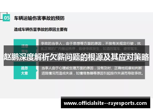 赵鹏深度解析欠薪问题的根源及其应对策略