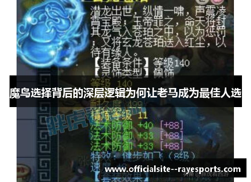 魔鸟选择背后的深层逻辑为何让老马成为最佳人选