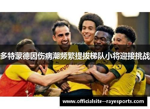 多特蒙德因伤病潮频繁提拔梯队小将迎接挑战